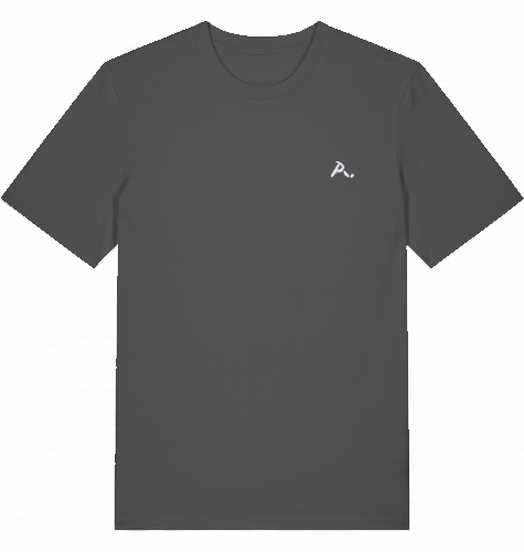 AP Embroidery Regular Fit T-Shirt